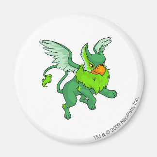 Eyrie Green Magnet