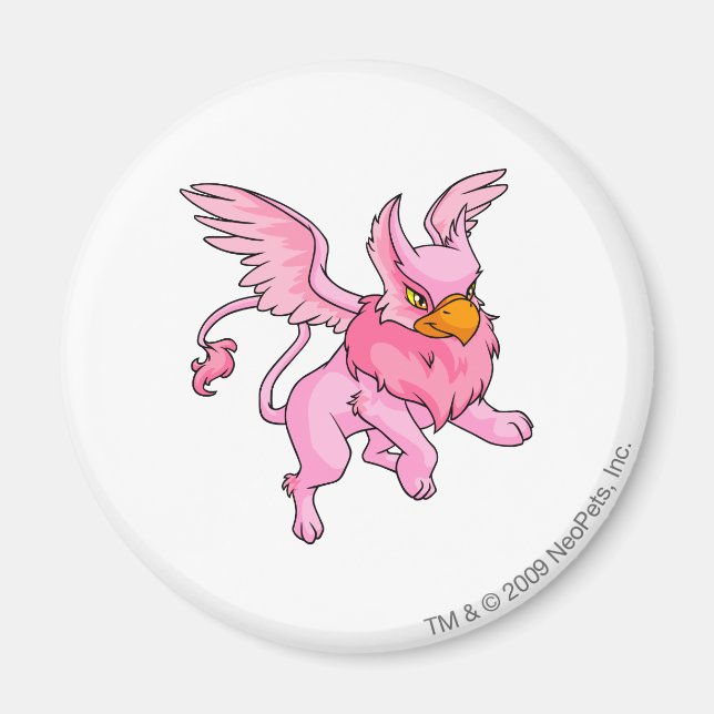 Eyrie Pink Magnet (Front)