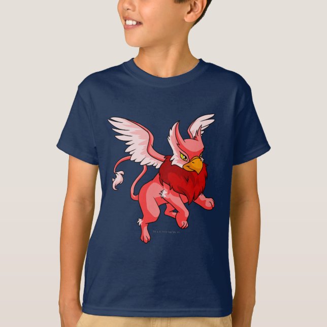 Eyrie Red T-Shirt (Front)