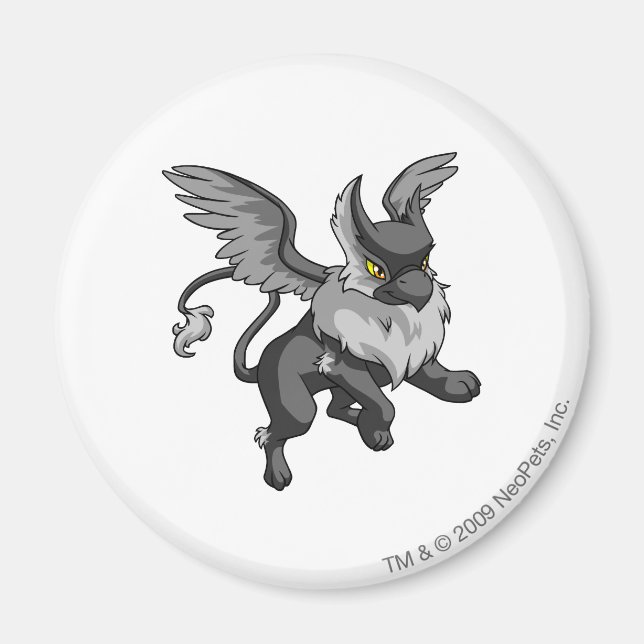 Eyrie Shadow Magnet (Front)
