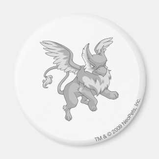 Eyrie Silver Magnet