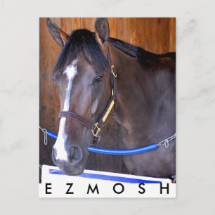 Ezmosh Postcard