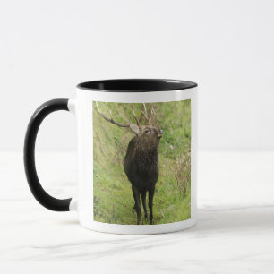 Ezo Deer Mug