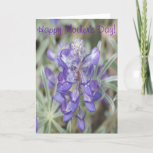F0018 Purple Wildflowers Annual Lupine Card