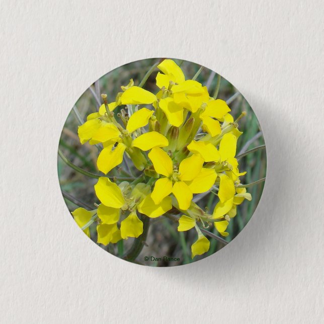 F14 Yellow Wildflowers 3 Cm Round Badge (Front)