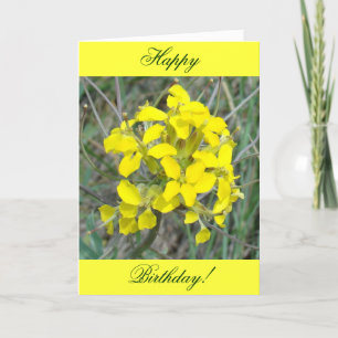 F14 Yellow Wildflowers Card