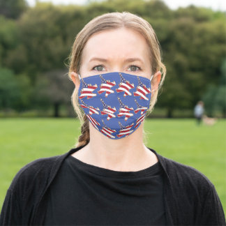 F16 Fighting Falcon US Flag America Cloth Face Mask