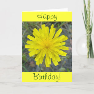 F16 Yellow Wildflower King Devil Card