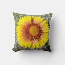F17b Yellow Wildflower Gaillardia