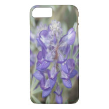 F18 Purple Wildflower Annual Lupine