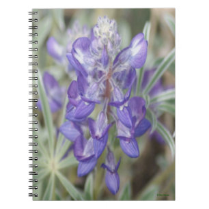 F18 Purple Wildflowers Annual Lupine Notebook