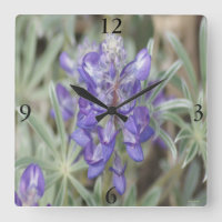 F18 Purple Wildflowers Annual Lupine