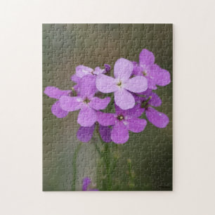 F19 Purple Wildflowers Dames Rocket Jigsaw Puzzle