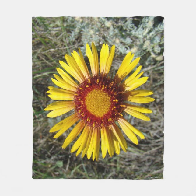 F1 Yellow Wildflower Gaillardia Fleece Blanket (Front)