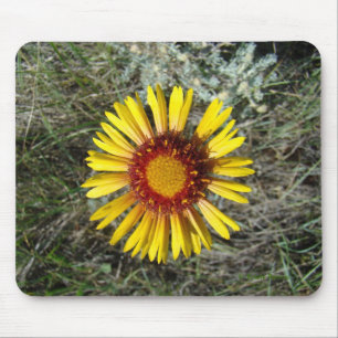 F1 Yellow Wildflower Gaillardia Mouse Mat