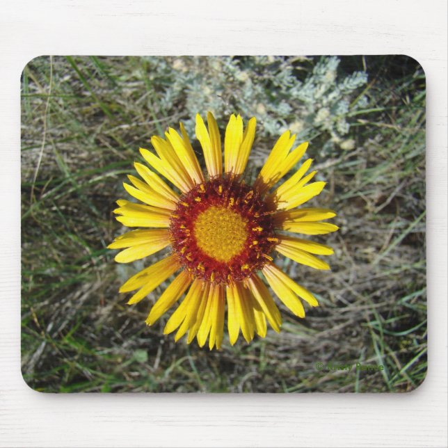 F1 Yellow Wildflower Gaillardia Mouse Mat (Front)