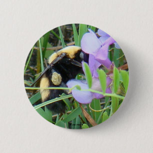 F2 Bee on Purple Wildflowers 6 Cm Round Badge