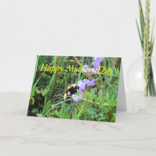 F2 Bee on Purple Wildflowers Card