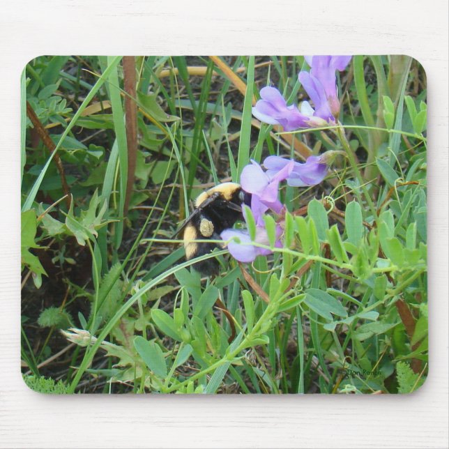 F2 Bee on Purple Wildflowers Mouse Mat (Front)