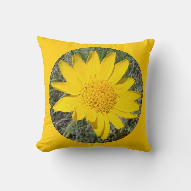 F34w Yellow Wildflower Sneezeweed Cushion (Front)