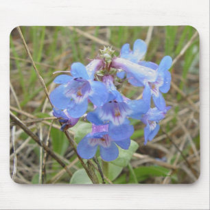 F3 Blue Wildflowers Slender Blue Beardtongue Mouse Mat