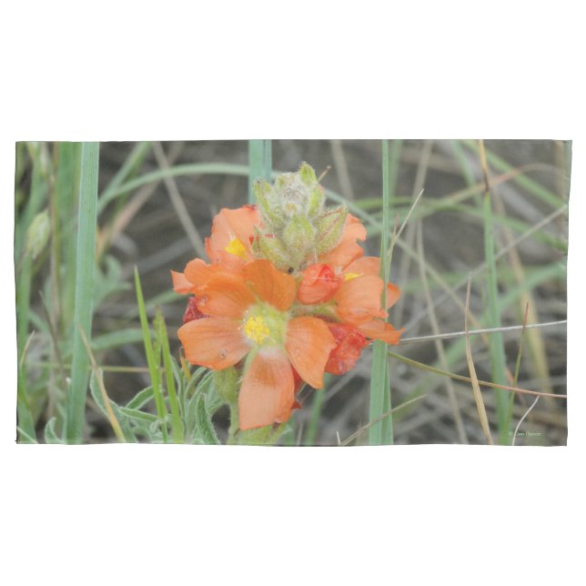F40 Orange Wildflowers Scarlet Mallow Pillowcase (Front)