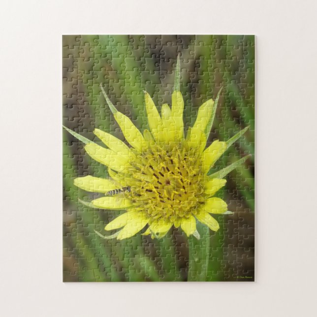 F41 Yellow Wildflower Goats-beard Jigsaw Puzzle (Vertical)