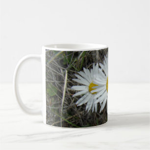 F42 White Wildflowers Smooth Aster Coffee Mug