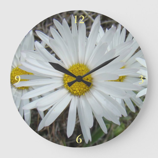 F42 White Wildflowers Smooth Aster Large Clock (Front)
