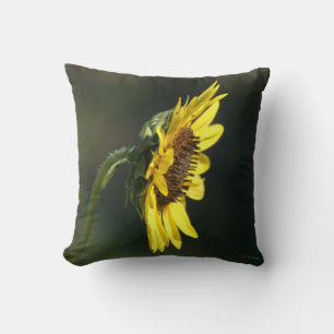 F43 Yellow Wildflower Black-eyed Susan Cushion