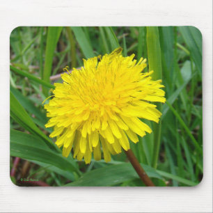 F45 Dandelion "Taraxacum Officinale" Mouse Mat