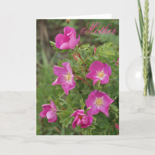 F46 Wild Roses Card