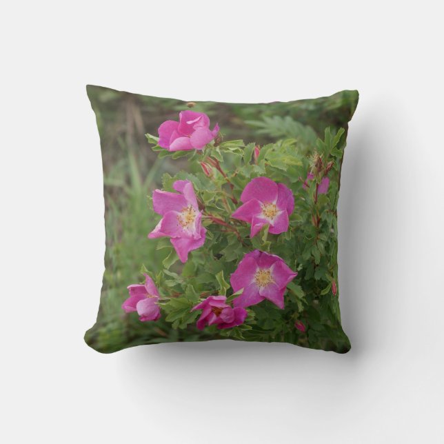 F46 Wild Roses Cushion (Front)