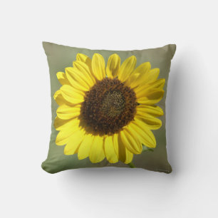 F47 Yellow Wildflower Common Annual Sunflower Cushion
