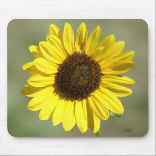 F47 Yellow Wildflower Common Annual Sunflower Mouse Mat