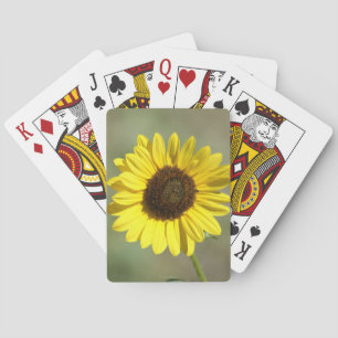 F47 Yellow Wildflower Common Annual Sunflower Playing Cards