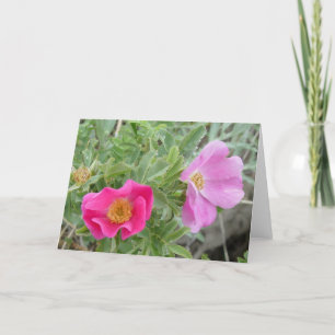 F4 Wild Roses Card