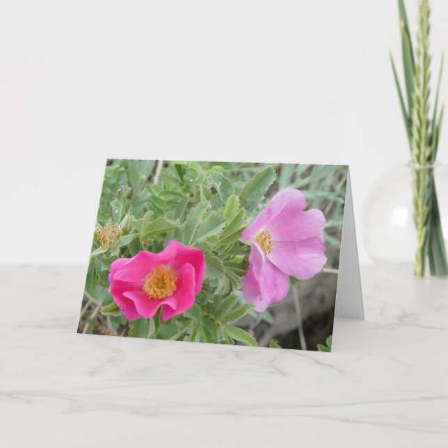 F4 Wild Roses Card (Front)