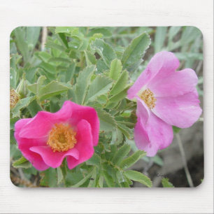 F4 Wild Roses Mouse Mat