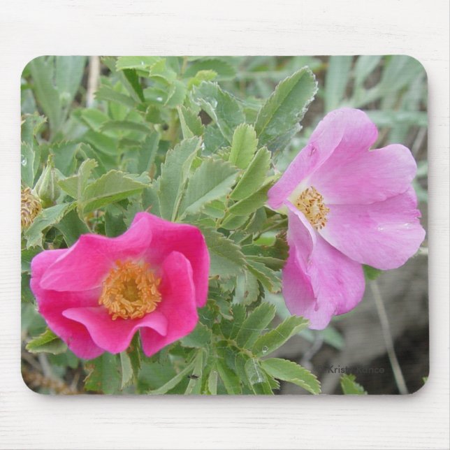 F4 Wild Roses Mouse Mat (Front)