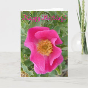 F4a Wild Rose Card