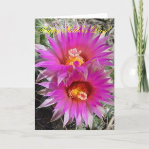 F5 Ball Cactus Flowers "Escobaria vivipara" Card