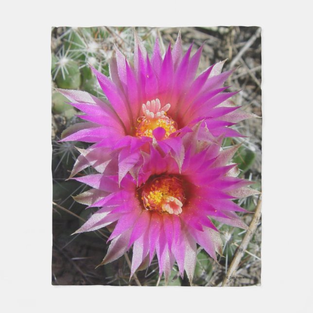 F5 Ball Cactus Flowers "Escobaria vivipara" Fleece Blanket (Front)