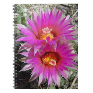 F5 Ball Cactus Flowers "Escobaria vivipara" Notebook
