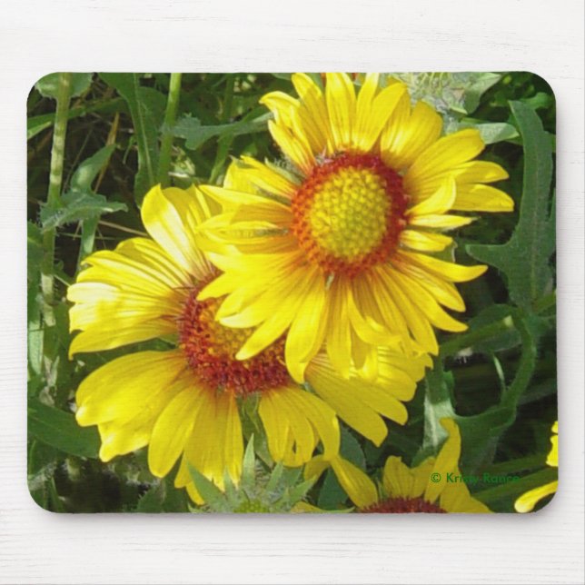 F6 Yellow Wildflowers Gaillardia Mouse Mat (Front)