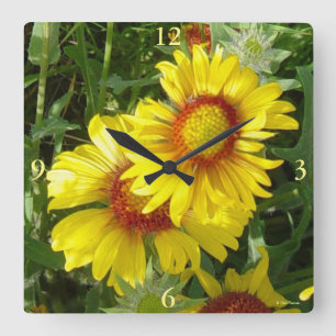 F6 Yellow Wildflowers Gaillardia Square Wall Clock