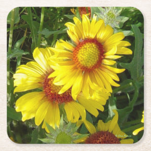F6 Yellow Wildflowers  Square Paper Coaster