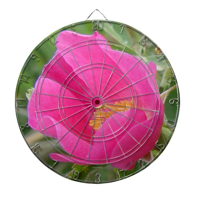 F7 Wild Rose Bright Pink Blossom Dartboard (Front)