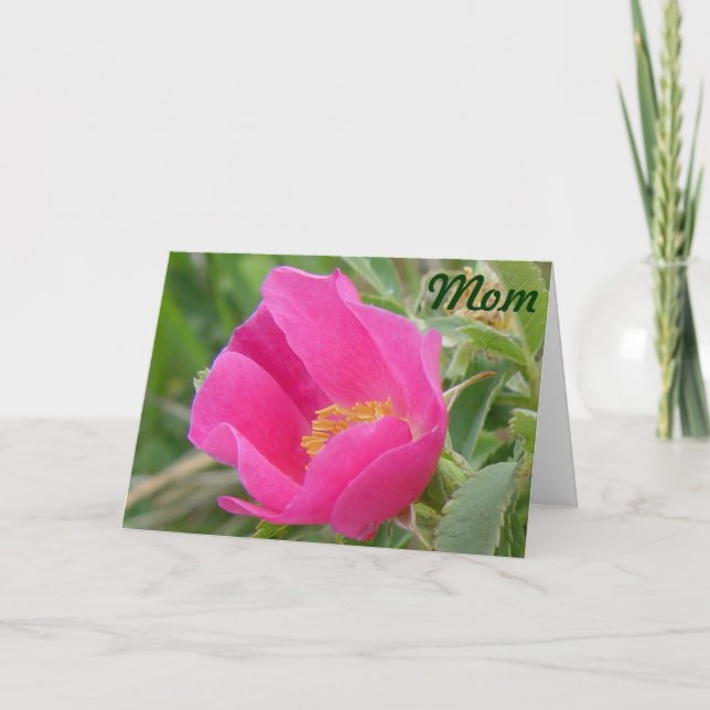 F7 Wild Rose Card (Front)