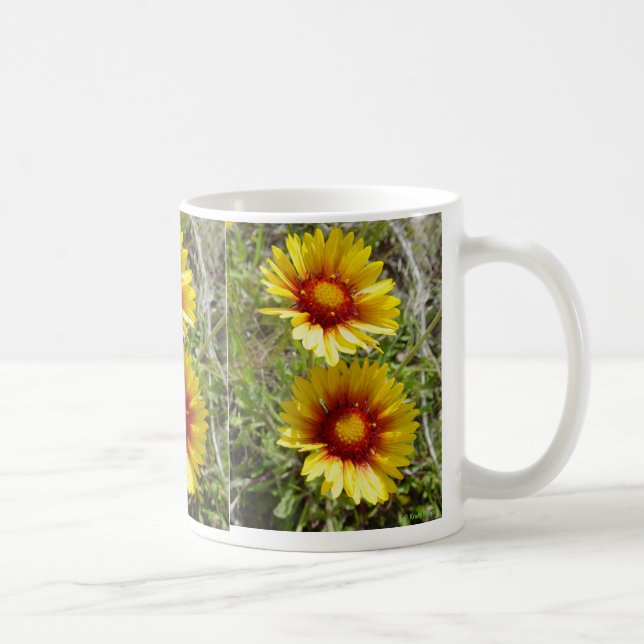 F8 Yellow Wildflower Gaillardia Coffee Mug (Right)